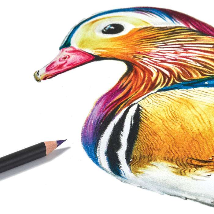 artPOP! Premium Plus Colored Pencils - Set of 24 (Duck artwork with black pencil)