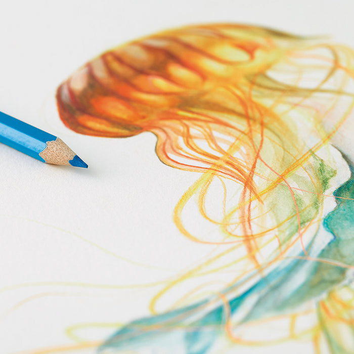 artPOP! Premium Watercolor Pencils - Set of 48 (drawing of a jellyfish)