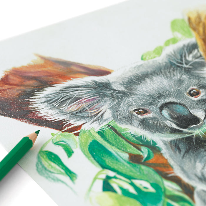 artPOP! Premium Colored Pencils - Set of 48 (drawing of a koala)