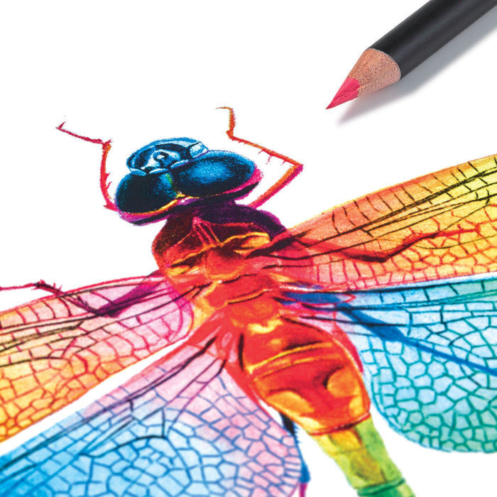 artPOP! Premium Plus Colored Pencils - Set of 12 (Dragonfly artwork with orange pencil)
