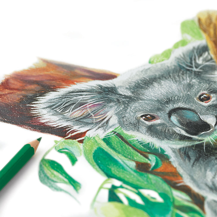 artPOP! Premium Colored Pencils - Set of 12 (drawing of a koala)