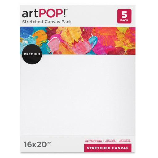 artPOP! Stretched Canvas Pack - 16" x 20", Pkg of 5 (Front of packaging) View 2