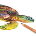 artPOP! Premium Plus Watercolor Pencils - Set of 48 (Sea turtle artwork with pencil)
