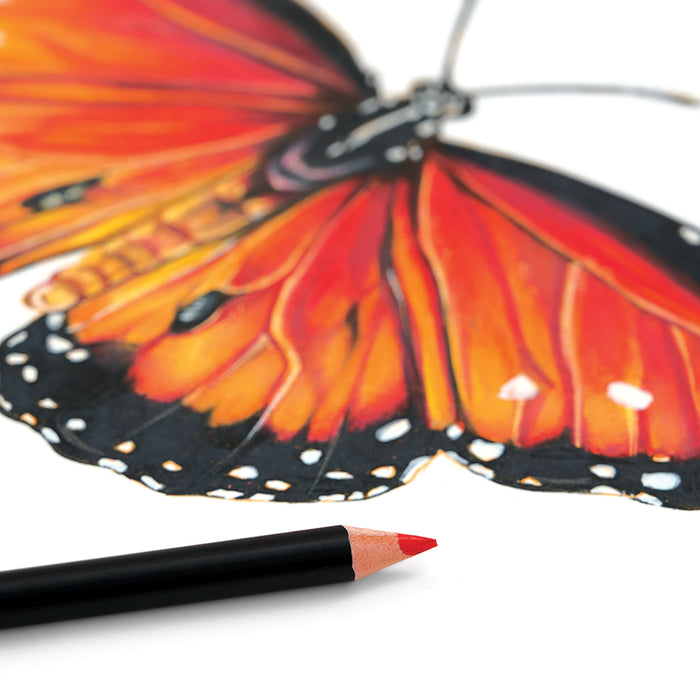 artPOP! Premium Plus Colored Pencils - Set of 48 (Butterfly artwork with orange pencil)