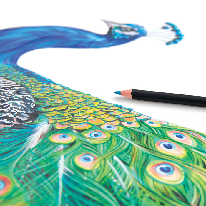 artPOP! Premium Plus Colored Pencils - Set of 72 (Peacock artwork with blue pencil)